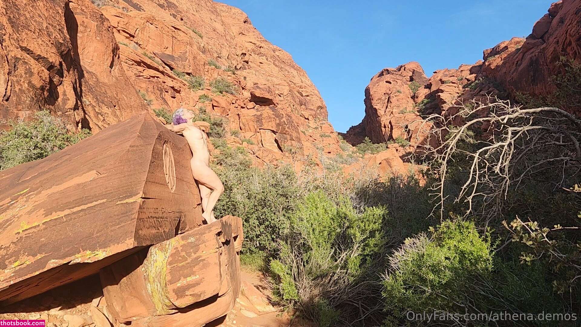 Athena Demos Aunt Athena Nude OnlyFans Photos #5 1176979