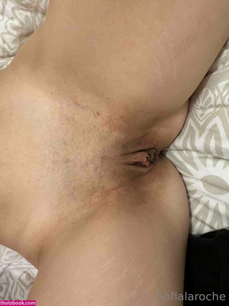 Sofia Laroche Nude OnlyFans Photos #2 1177757