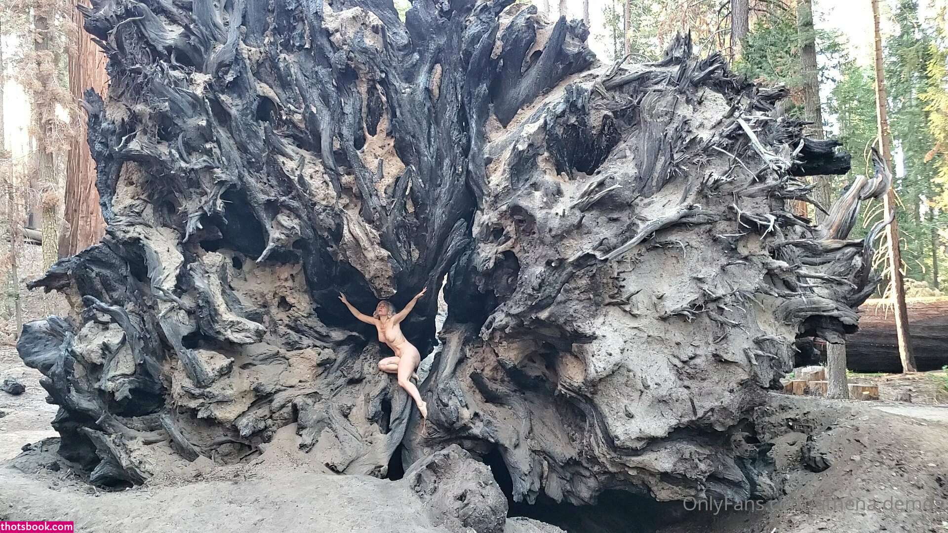 Athena Demos Aunt Athena Nude OnlyFans Photos #13 1178363