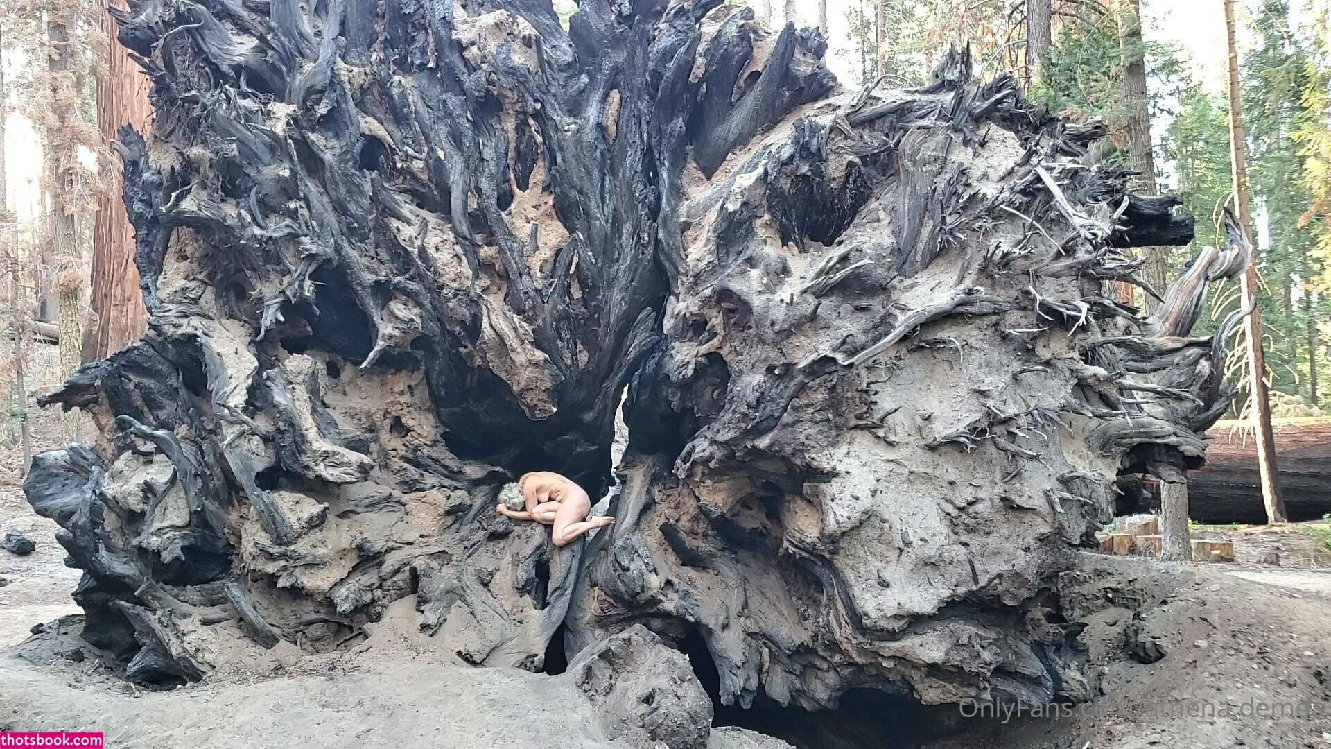 Athena Demos Aunt Athena Nude OnlyFans Photos #13 1178372