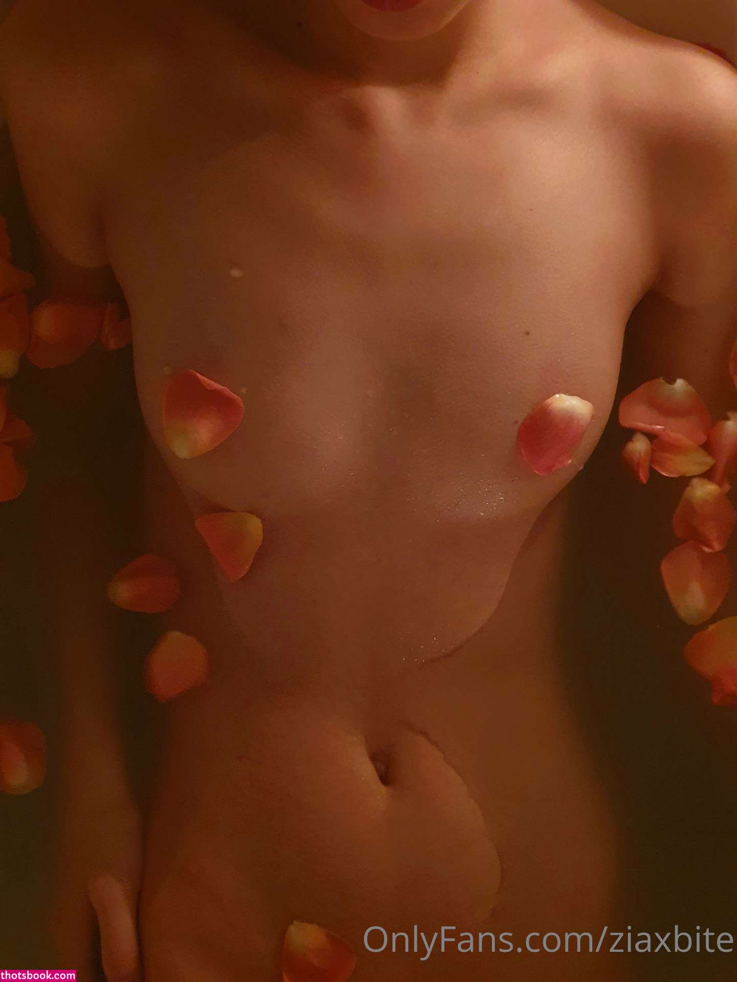 Ziaxbite Nude OnlyFans Photos #8 1107790