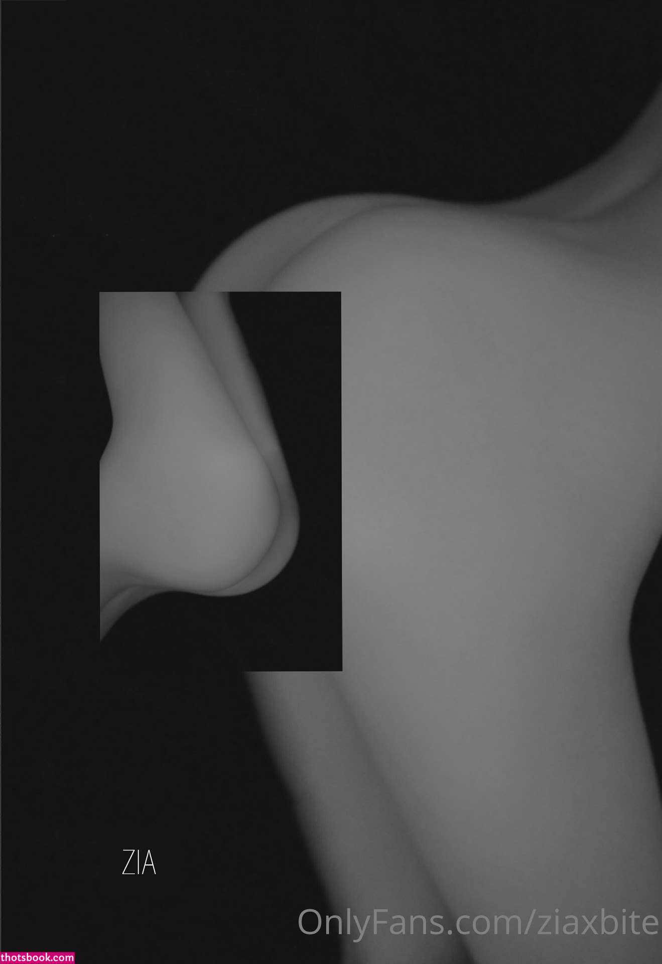 Ziaxbite Nude OnlyFans Photos #12 1107823