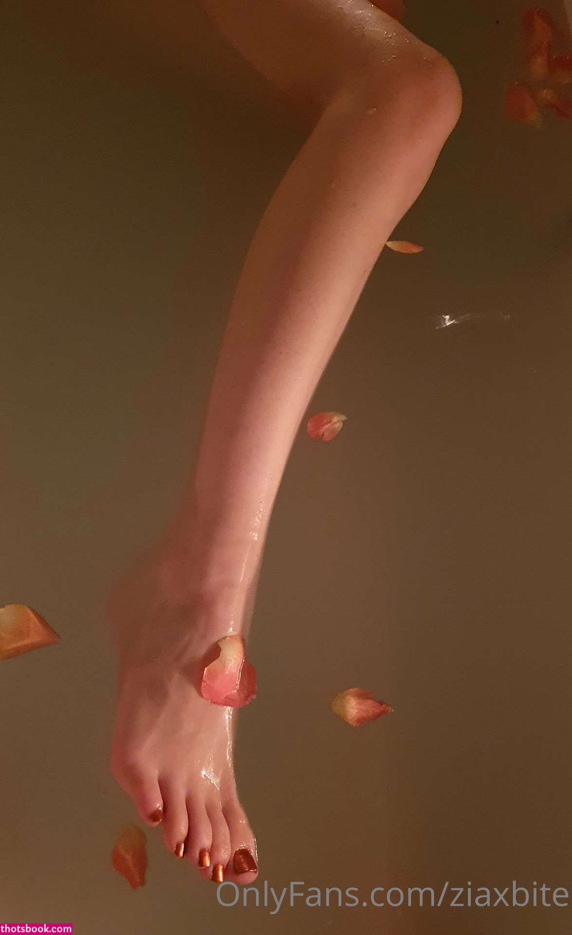 Ziaxbite Nude OnlyFans Photos #12 1107828