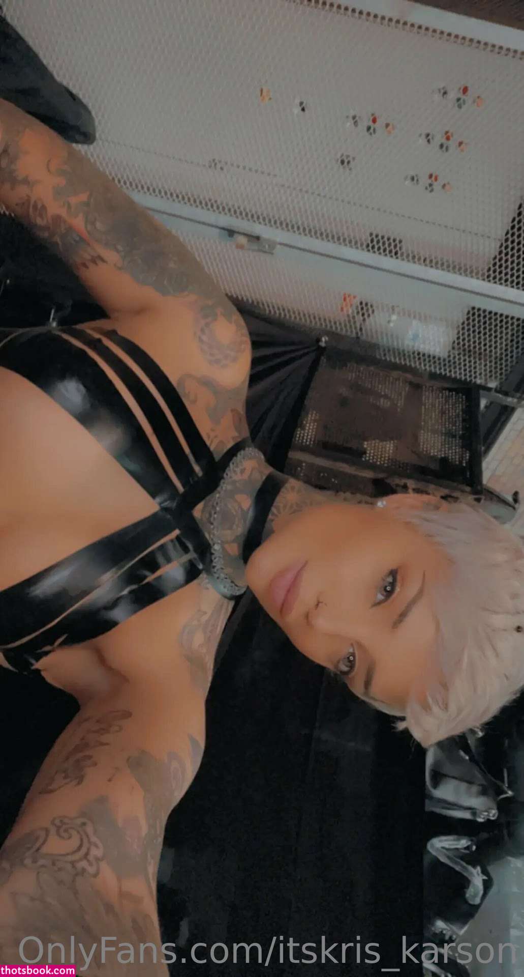 Kris Karson Nude OnlyFans Photos #2 1121054