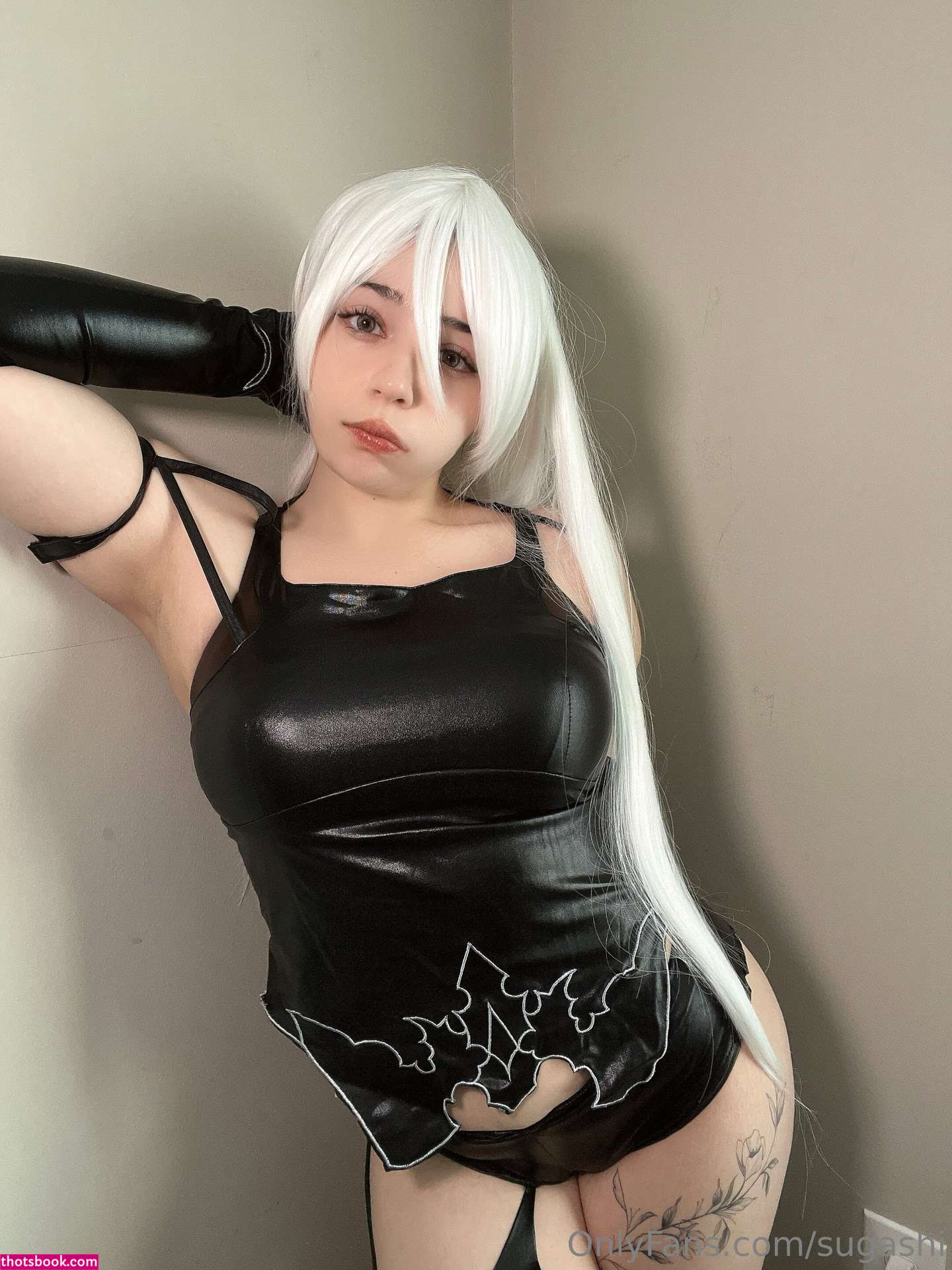 Sugashi Nude OnlyFans Photos #3 1121428