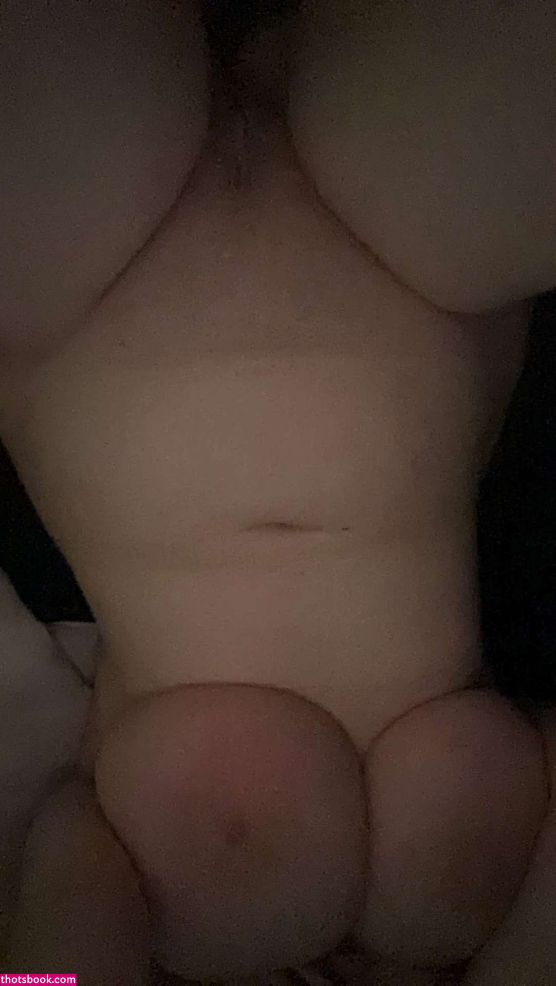 Bigtitbigheart Nude OnlyFans Photos #12 1138624