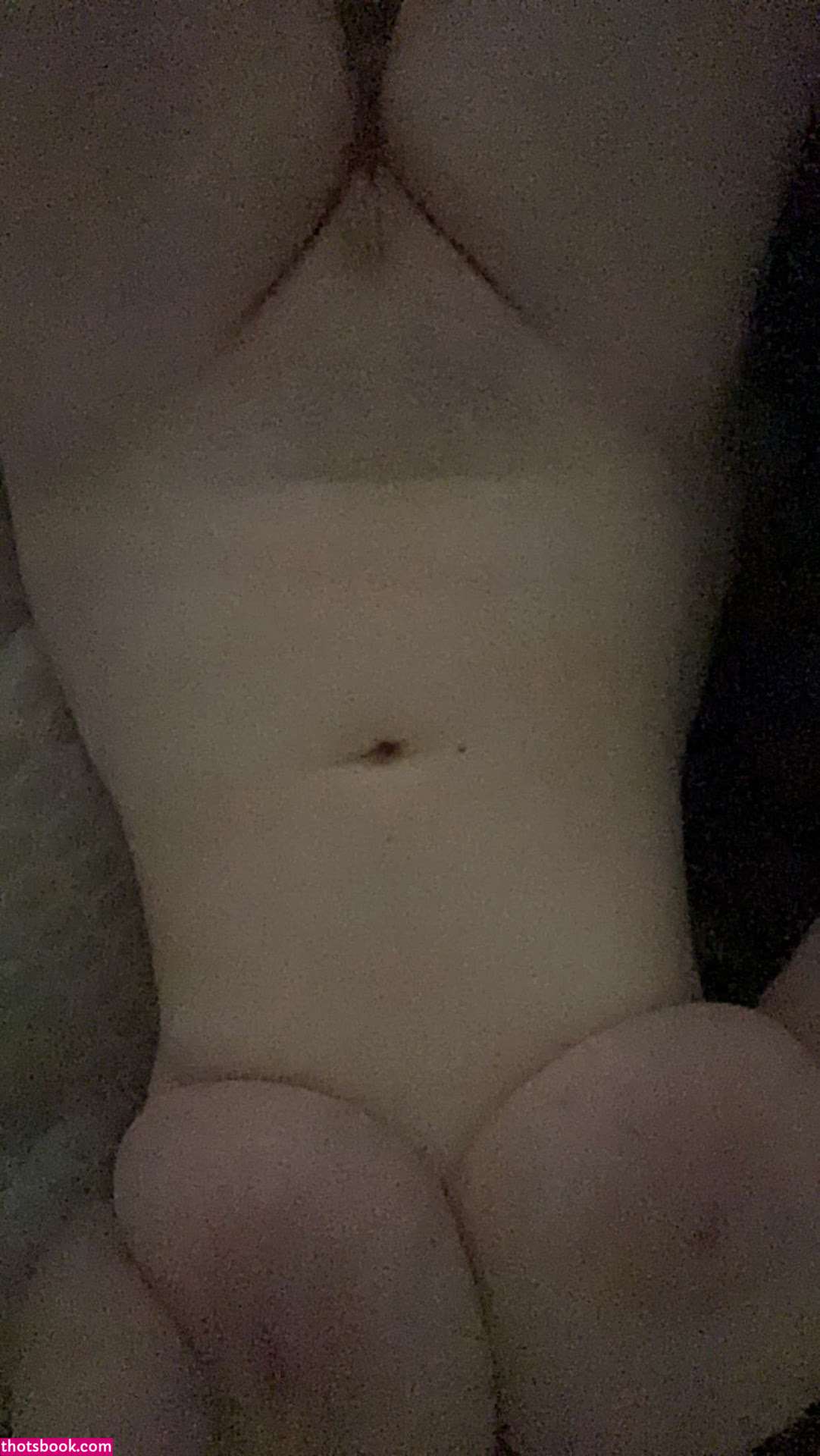 Bigtitbigheart Nude OnlyFans Photos #12 1138628