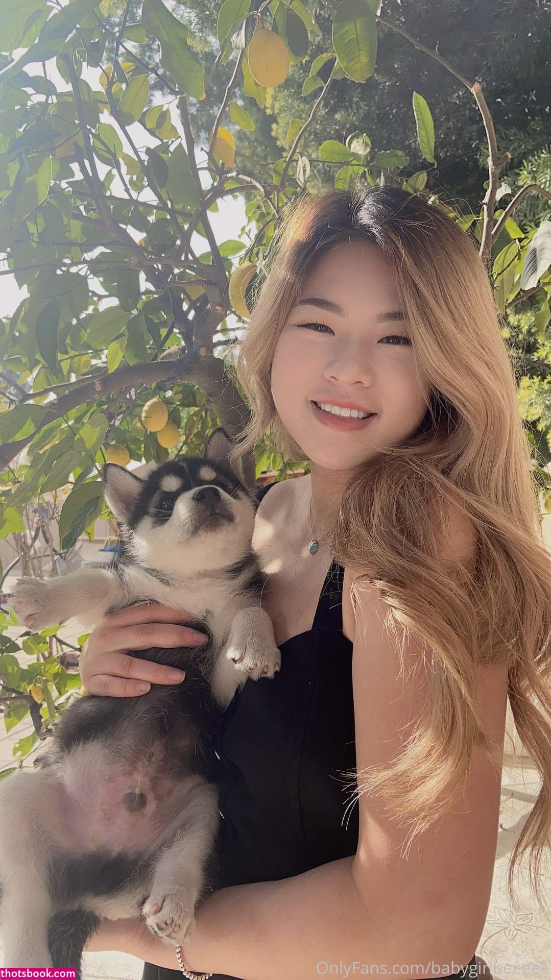 babiebeezz vyginaaaa keepitjuicyjuicy Nude OnlyFans Photos #14 1142048