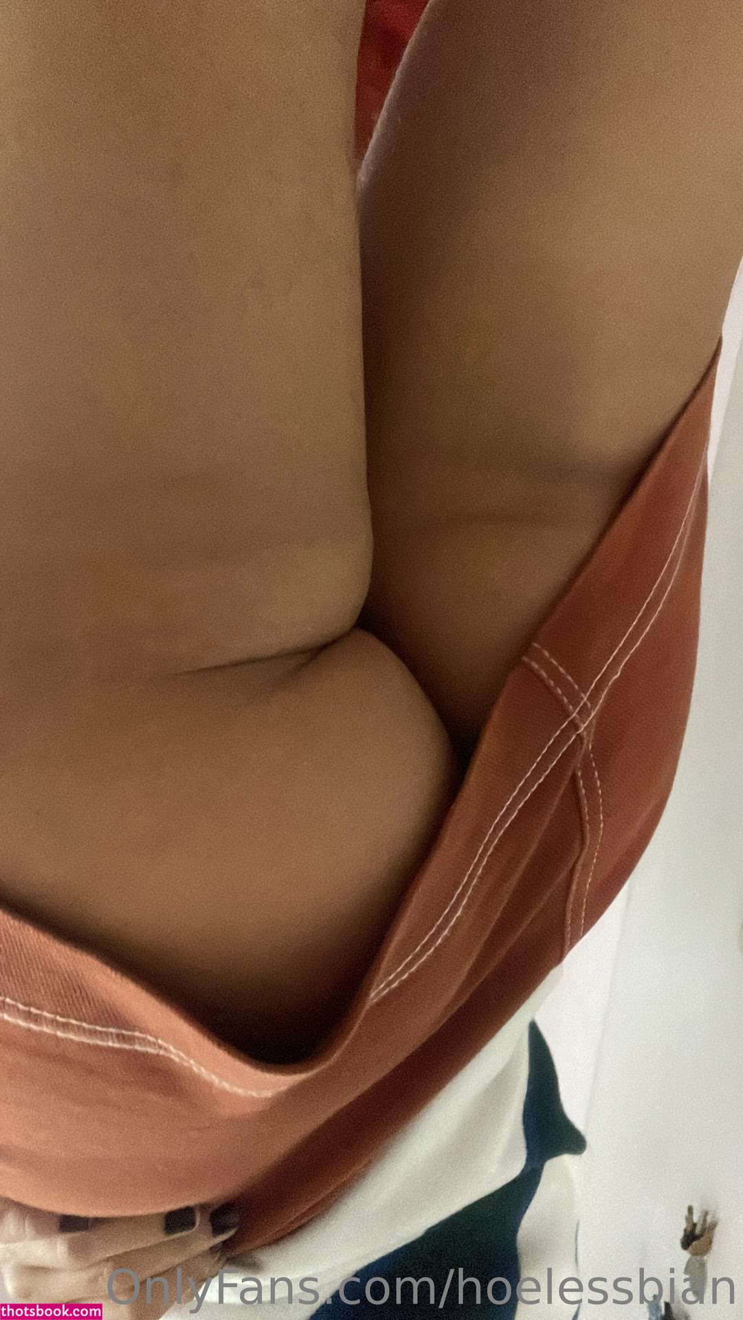 hoelessbian Nude OnlyFans Photos #5 1159874