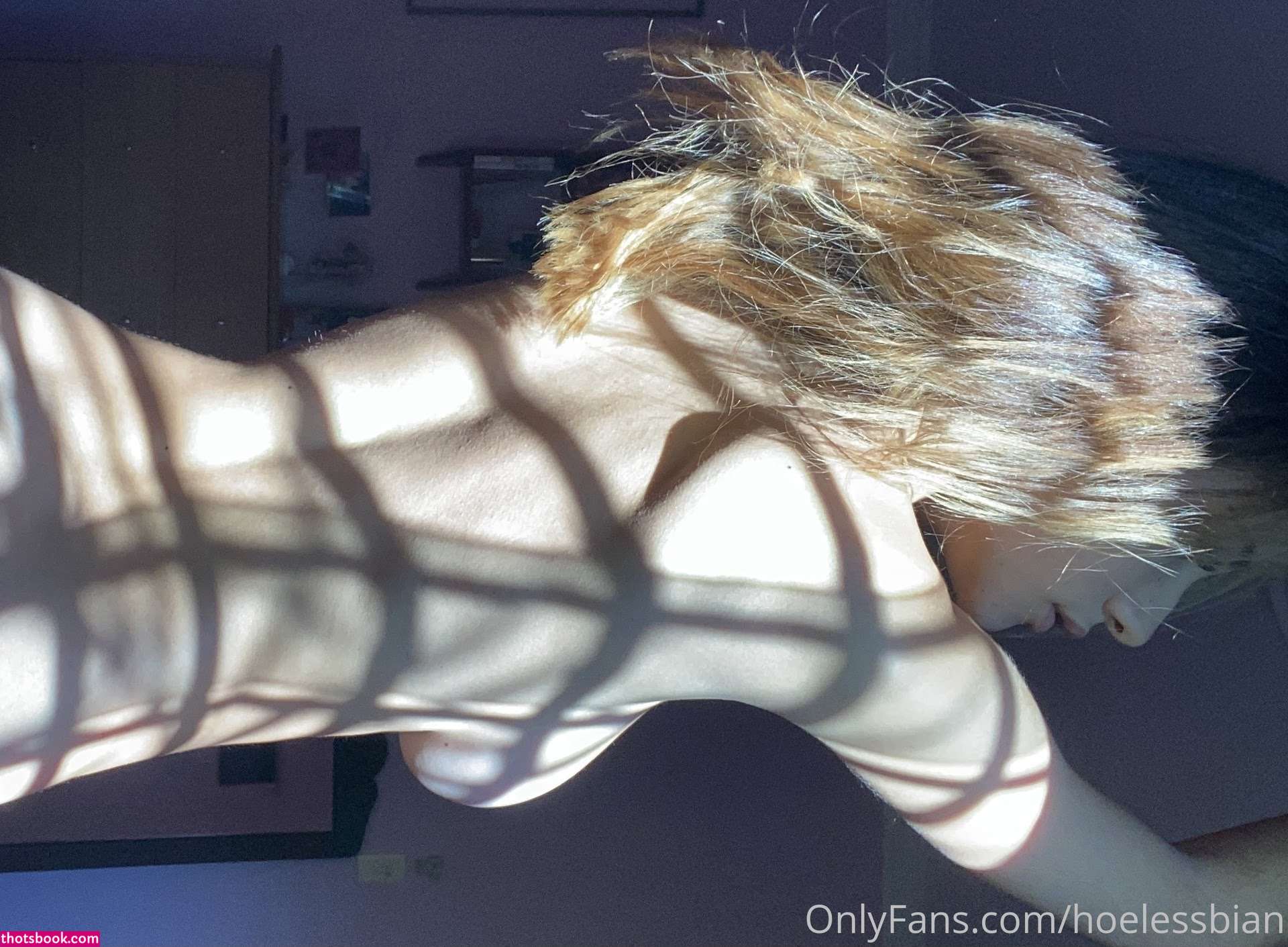 hoelessbian Nude OnlyFans Photos #6 1159884