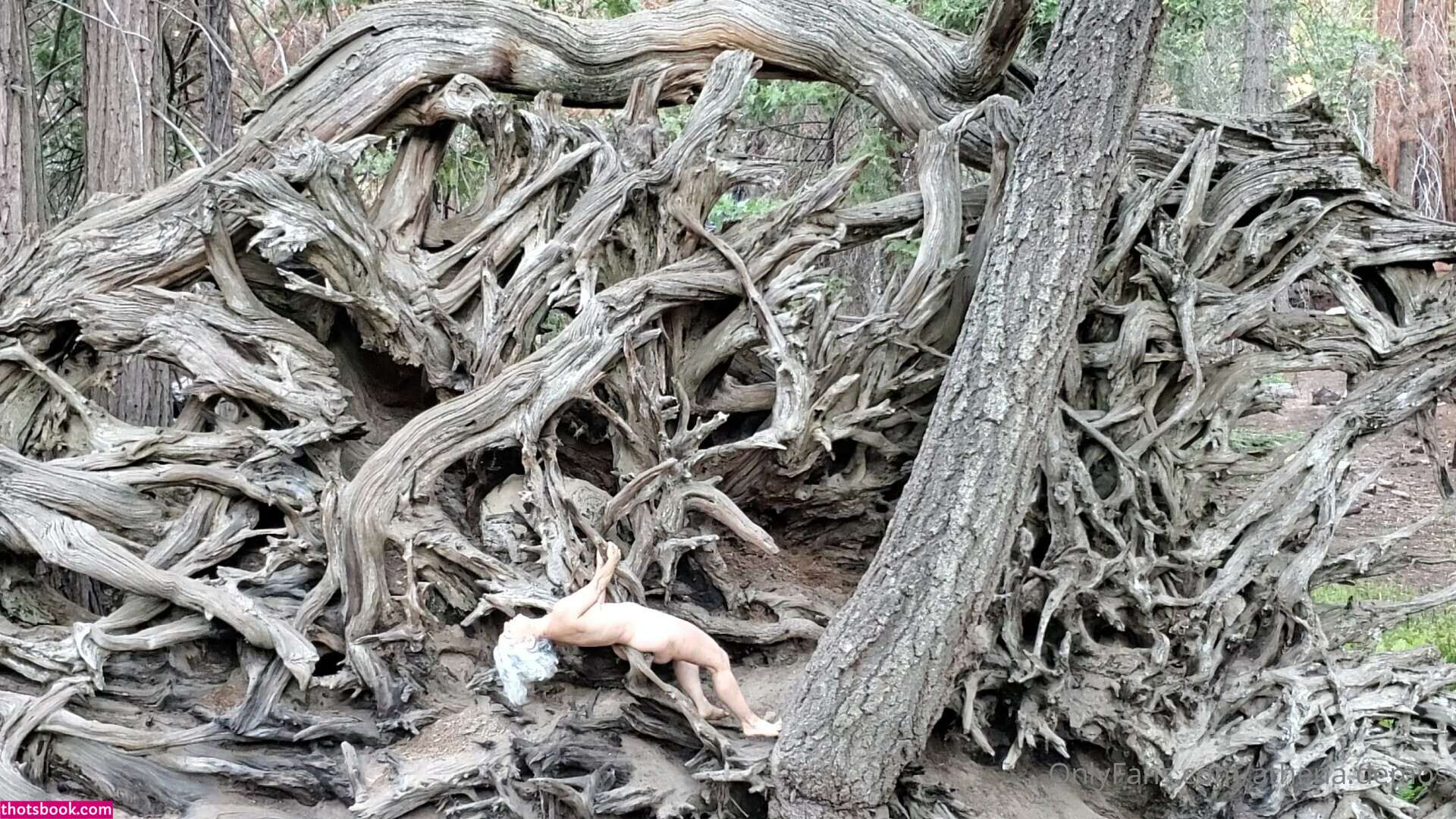 Athena Demos Aunt Athena Nude OnlyFans Photos #15 1178401