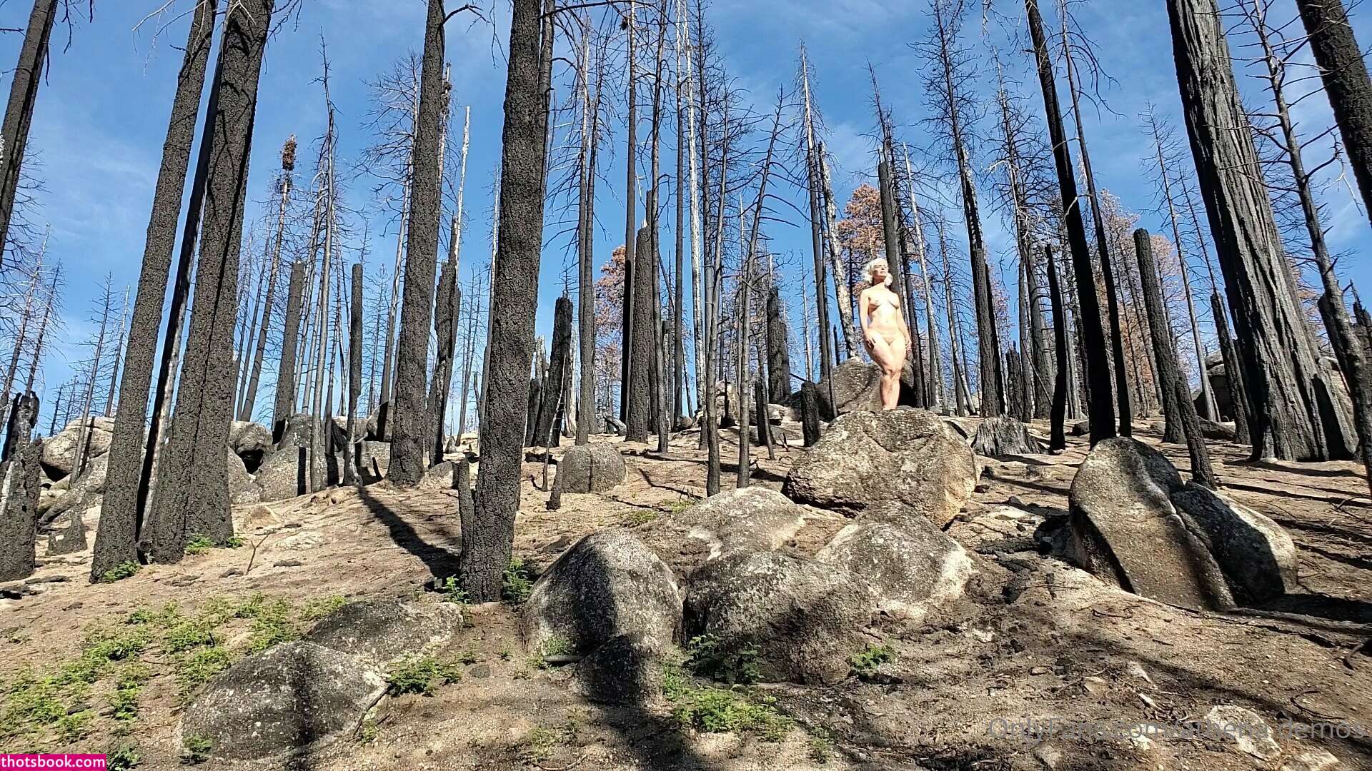 Athena Demos Aunt Athena Nude OnlyFans Photos #15 1178410