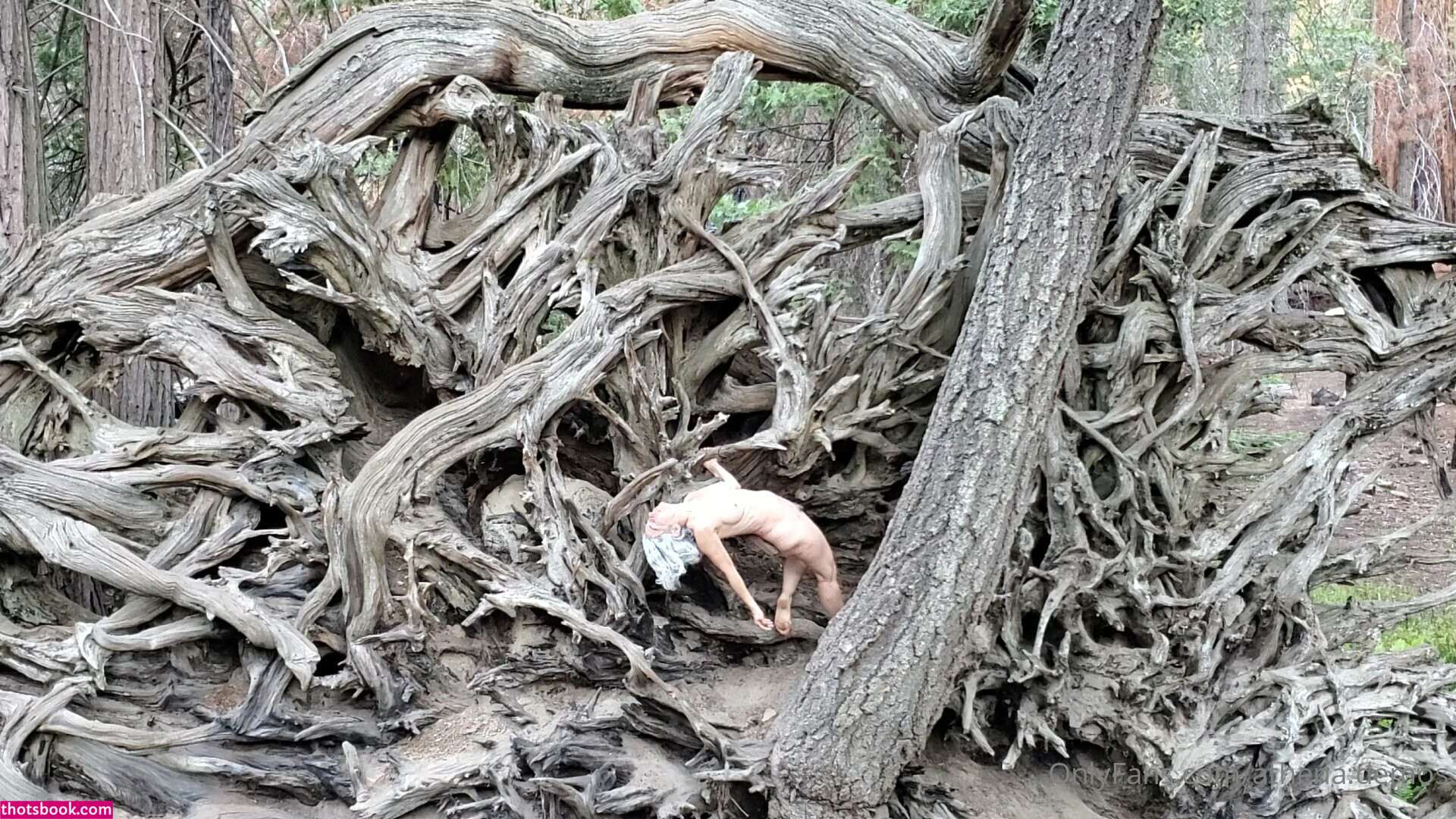 Athena Demos Aunt Athena Nude OnlyFans Photos #15 1178414