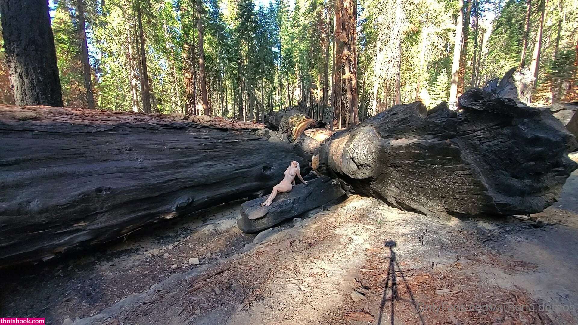 Athena Demos Aunt Athena Nude OnlyFans Photos #15 1178416