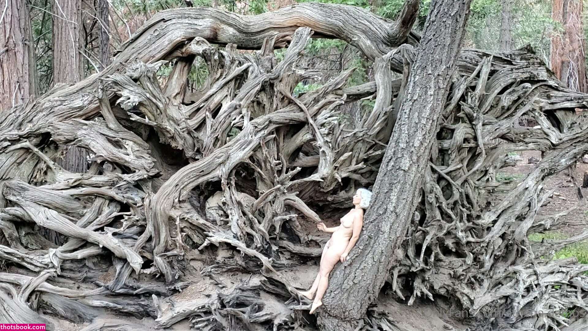 Athena Demos Aunt Athena Nude OnlyFans Photos #15 1178417