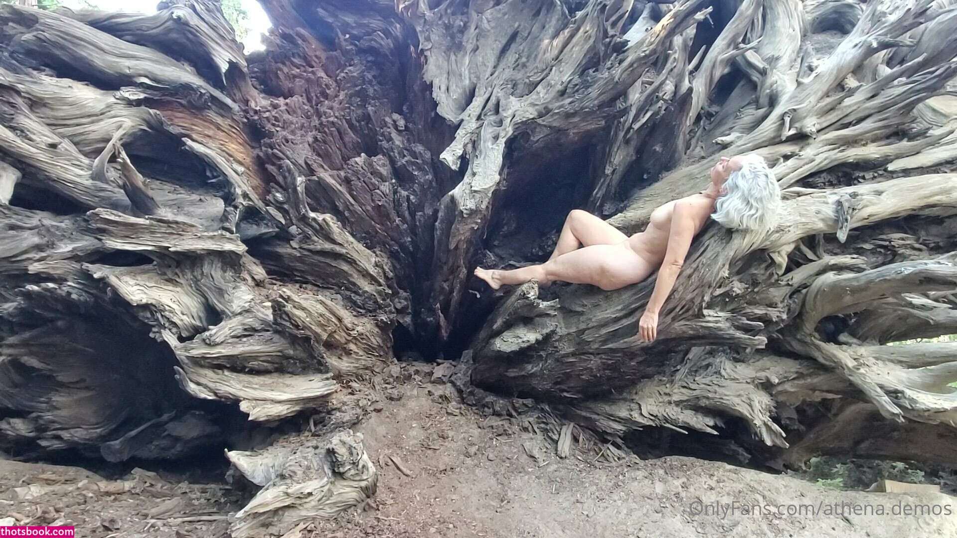 Athena Demos Aunt Athena Nude OnlyFans Photos #15 1178430