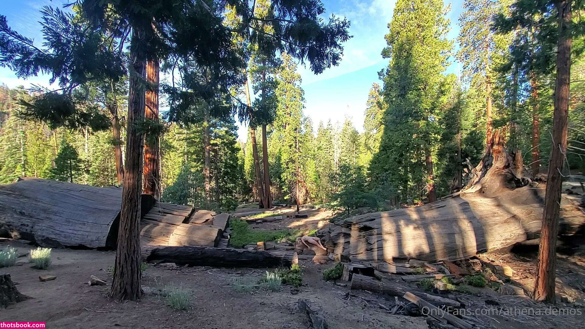 Athena Demos Aunt Athena Nude OnlyFans Photos #15 1178444