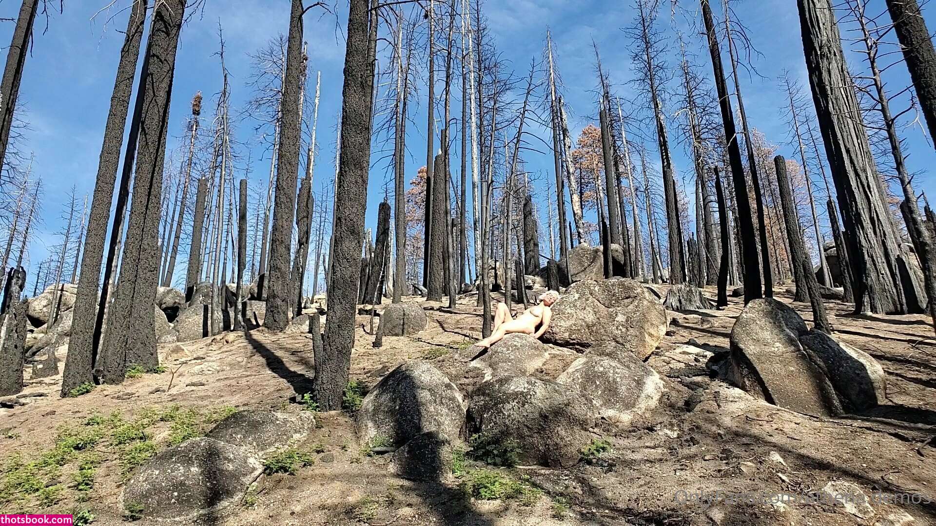 Athena Demos Aunt Athena Nude OnlyFans Photos #15 1178467