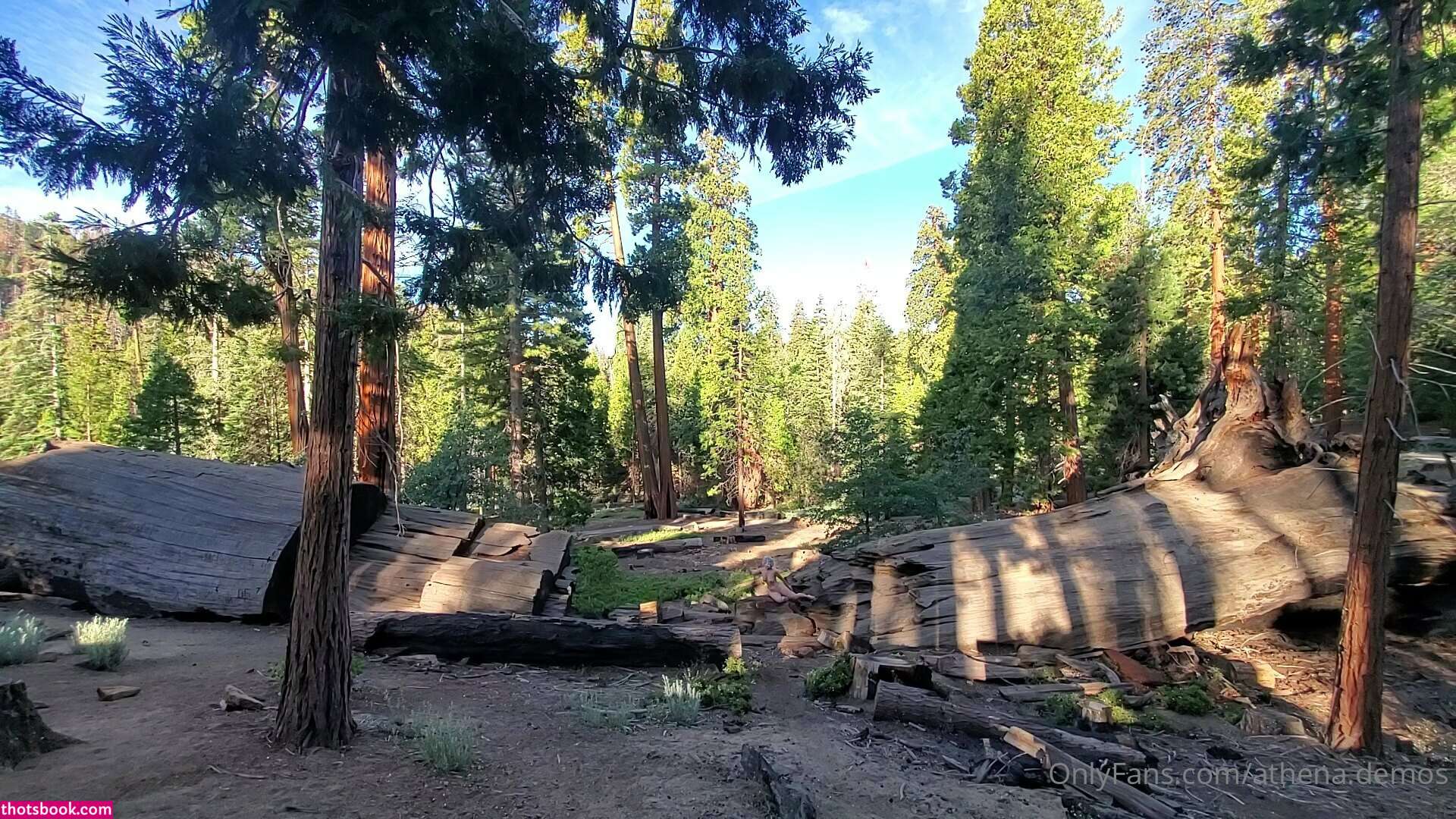 Athena Demos Aunt Athena Nude OnlyFans Photos #15 1178473