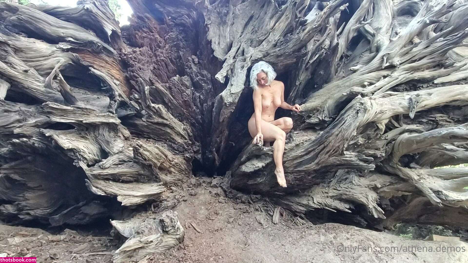 Athena Demos Aunt Athena Nude OnlyFans Photos #15 1178474