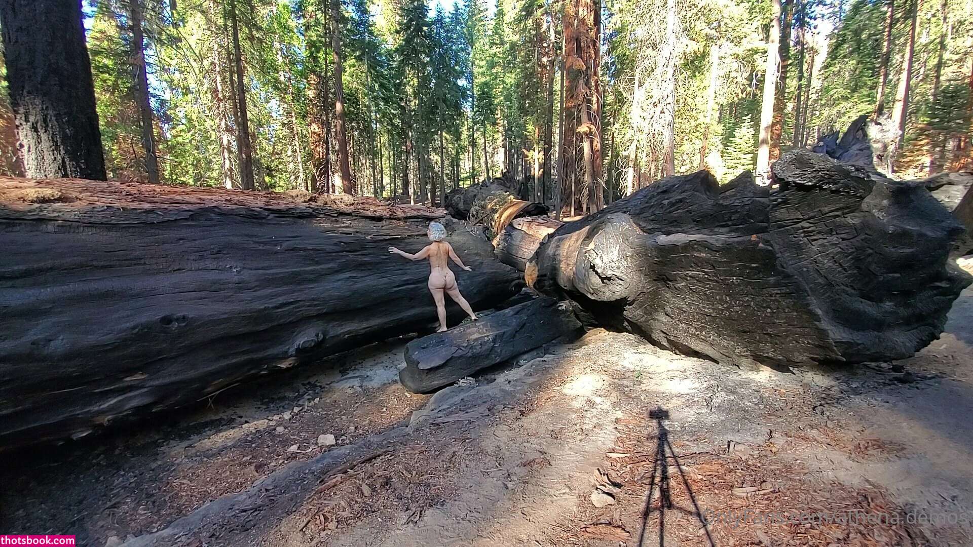 Athena Demos Aunt Athena Nude OnlyFans Photos #15 1178477