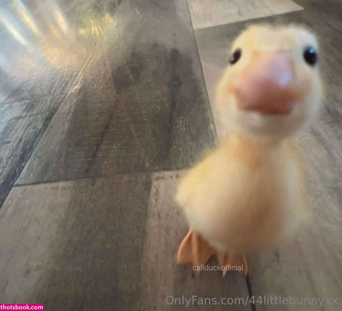 44littlebunnyxx nude Leaks OnlyFans Photos #5 1801798