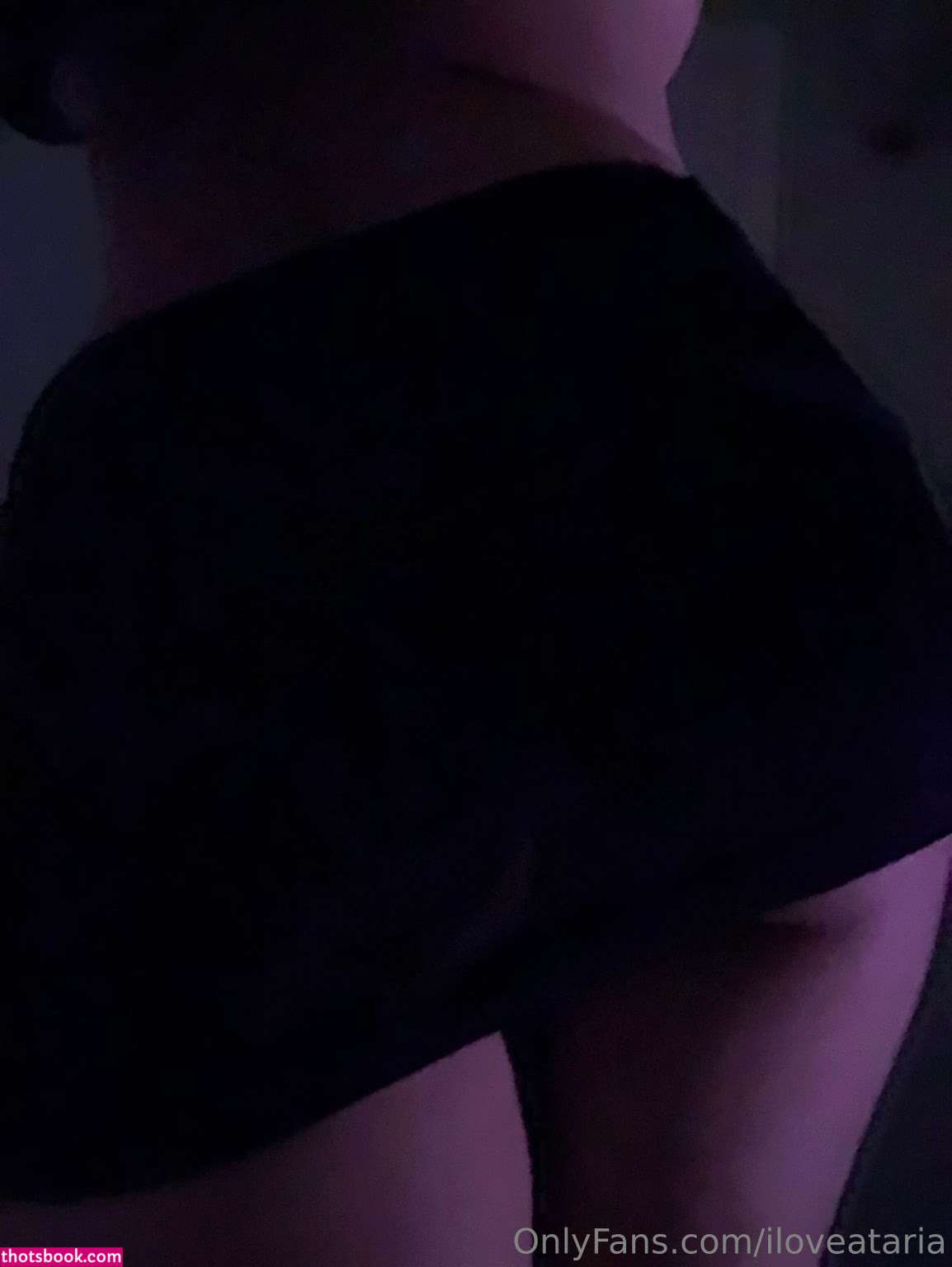 iloveataria astridelise3 Nude Leaks OnlyFans Photos #4 1804183