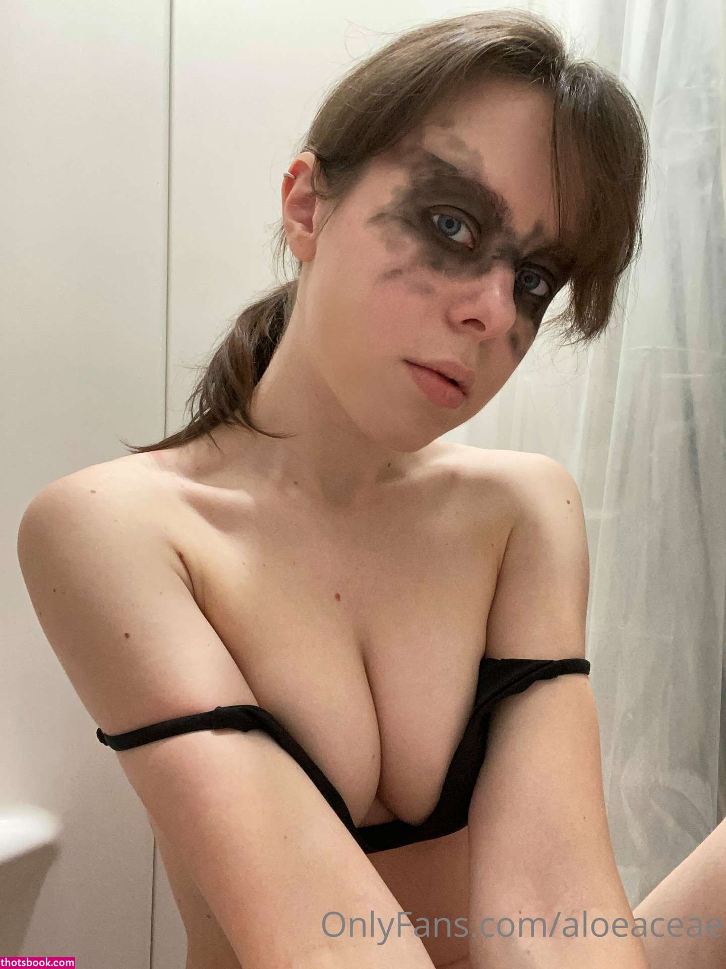 aloeaceae Photos #1 267595