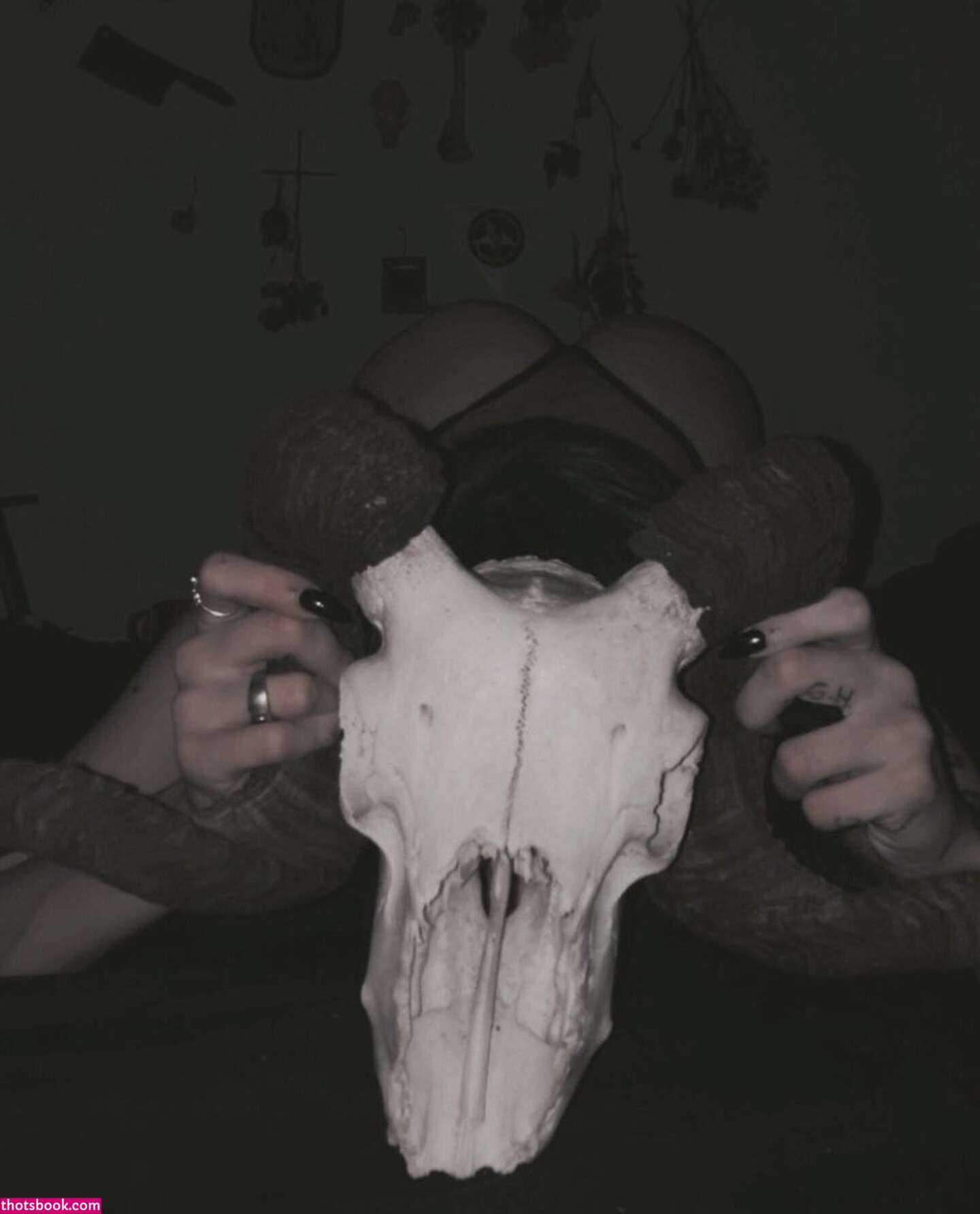 Fleshf1y  Wh0reHound  he4rtworm Photos #3 267756