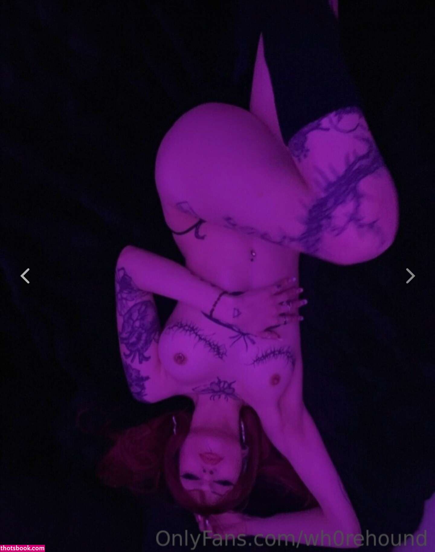 Fleshf1y  Wh0reHound  he4rtworm Photos #8 268174