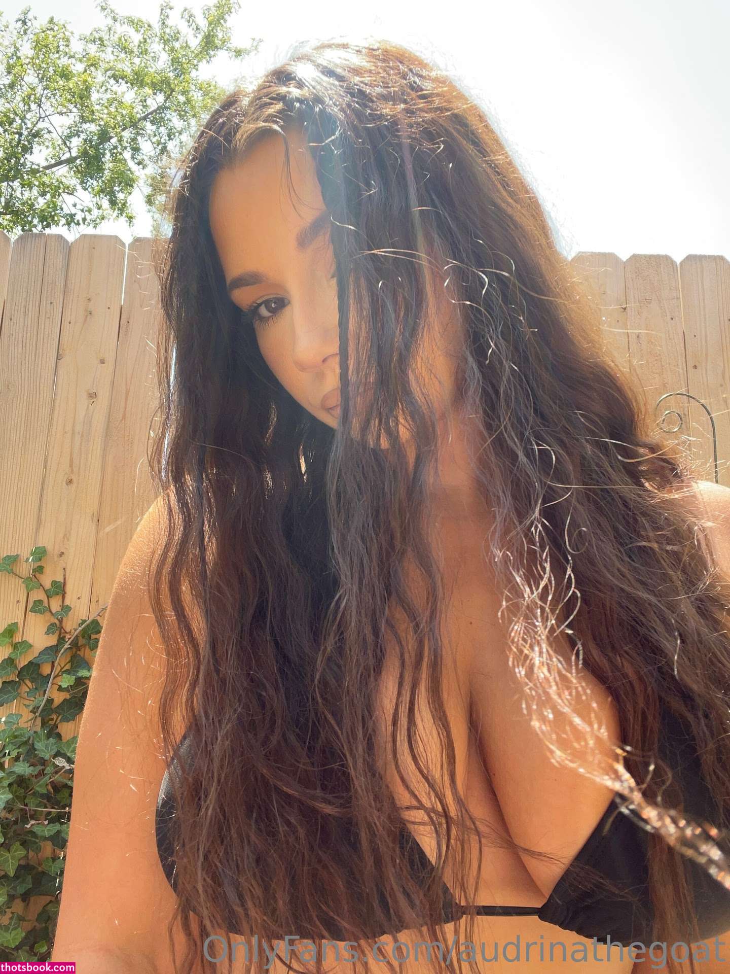 Thegoat  audrinathegoat Photos #3 274054