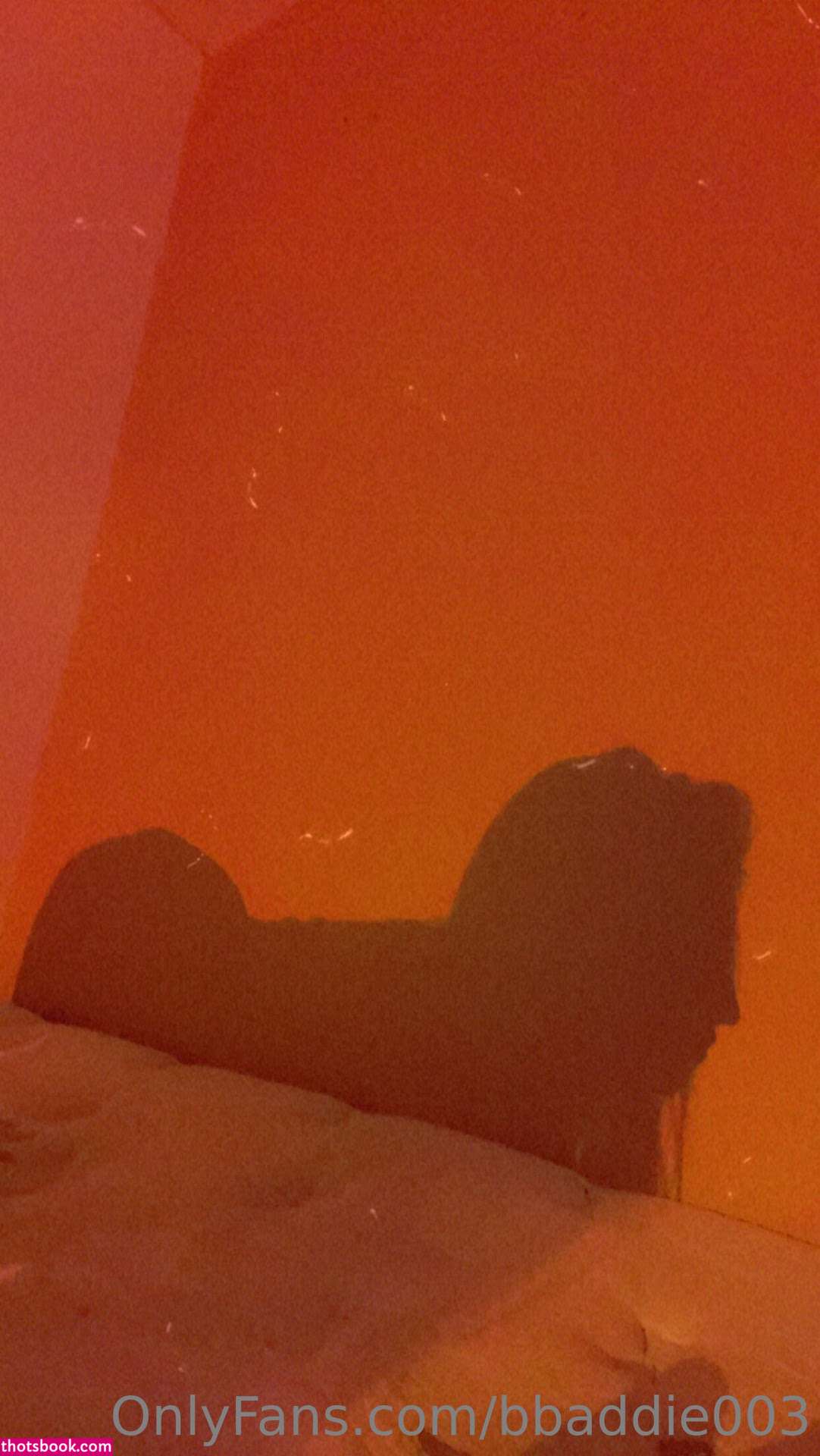 Bbaddie003  bxo bbhadd0 Photos #6 275804