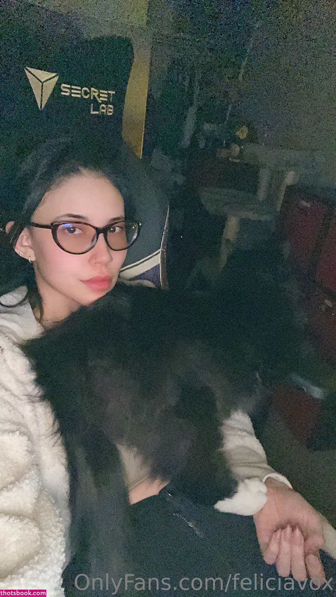 FeliciaVox Nude OnlyFans Photos #9 320985