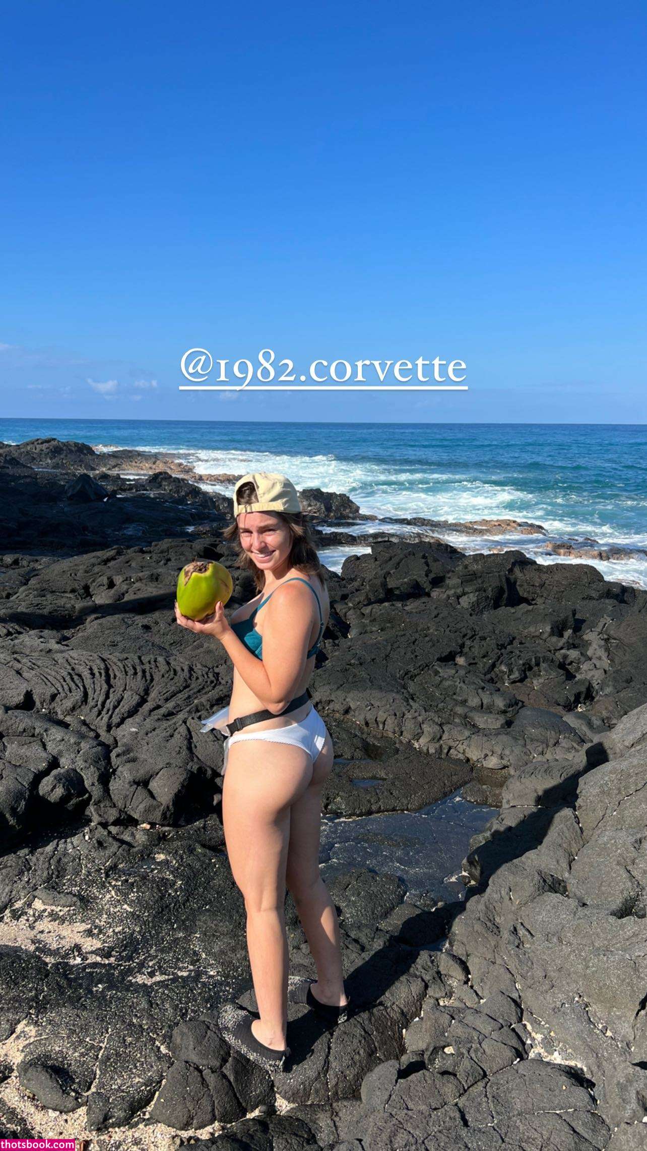 ClassicCarDad 1982corvette Photos #5 277138