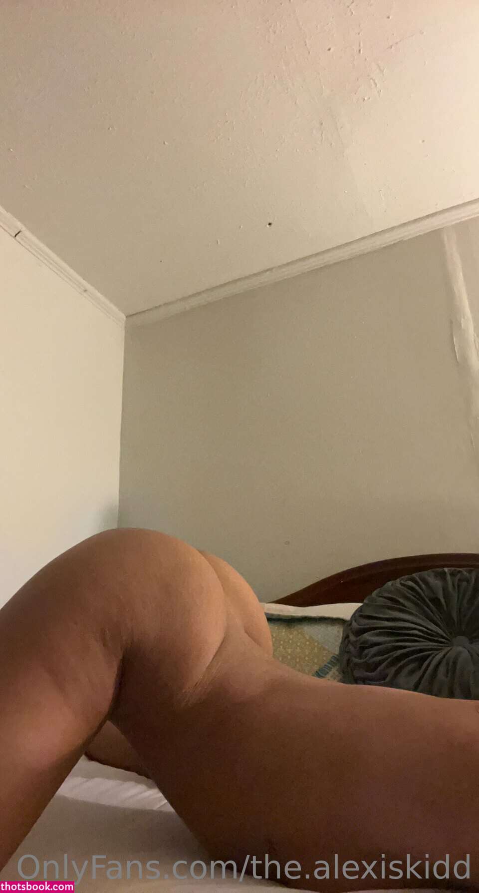 Alexis Kidd Nude OnlyFans Photos #17 295547