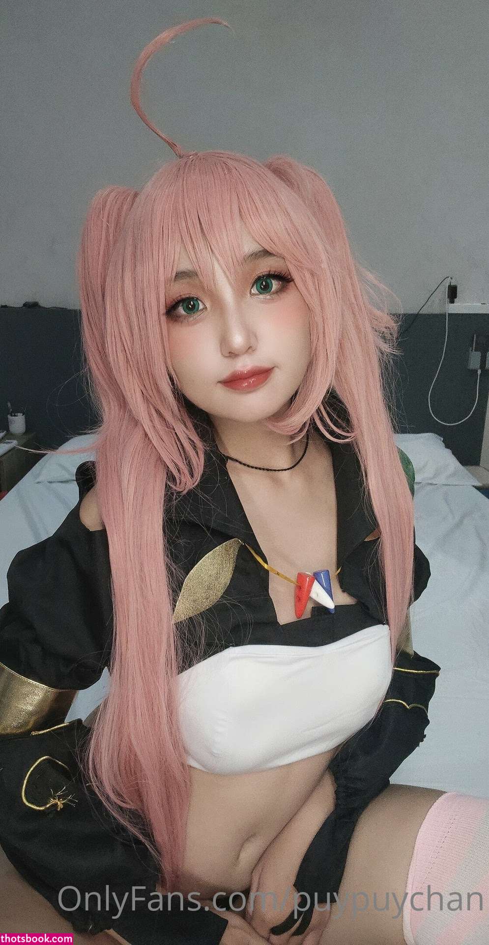 Puypuychan Nude OnlyFans Photos #12 333006