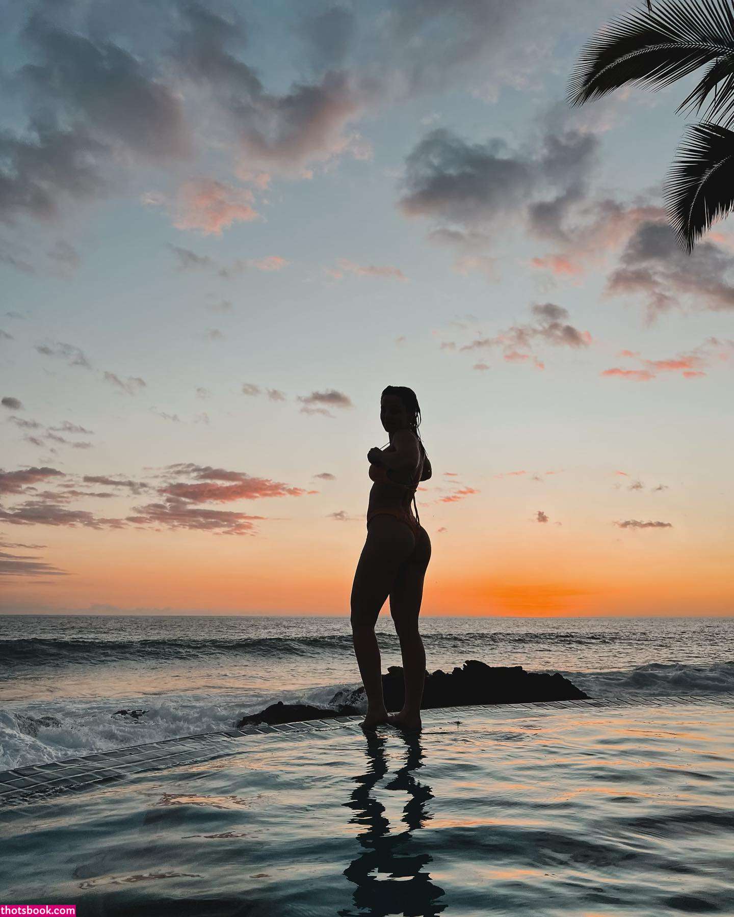 ClassicCarDad 1982corvette Photos #11 279147