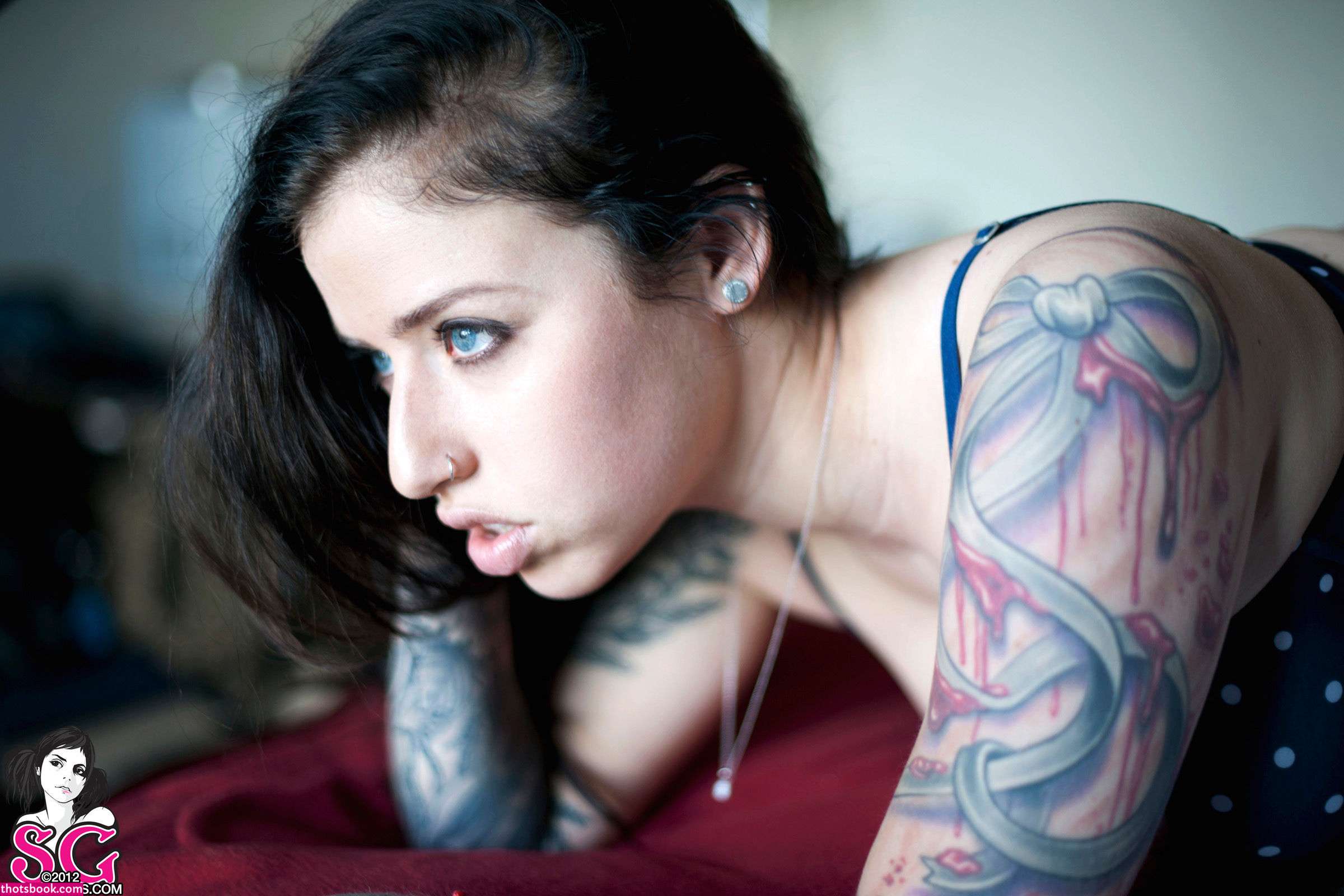 Sash Suicide Photos #12 279603
