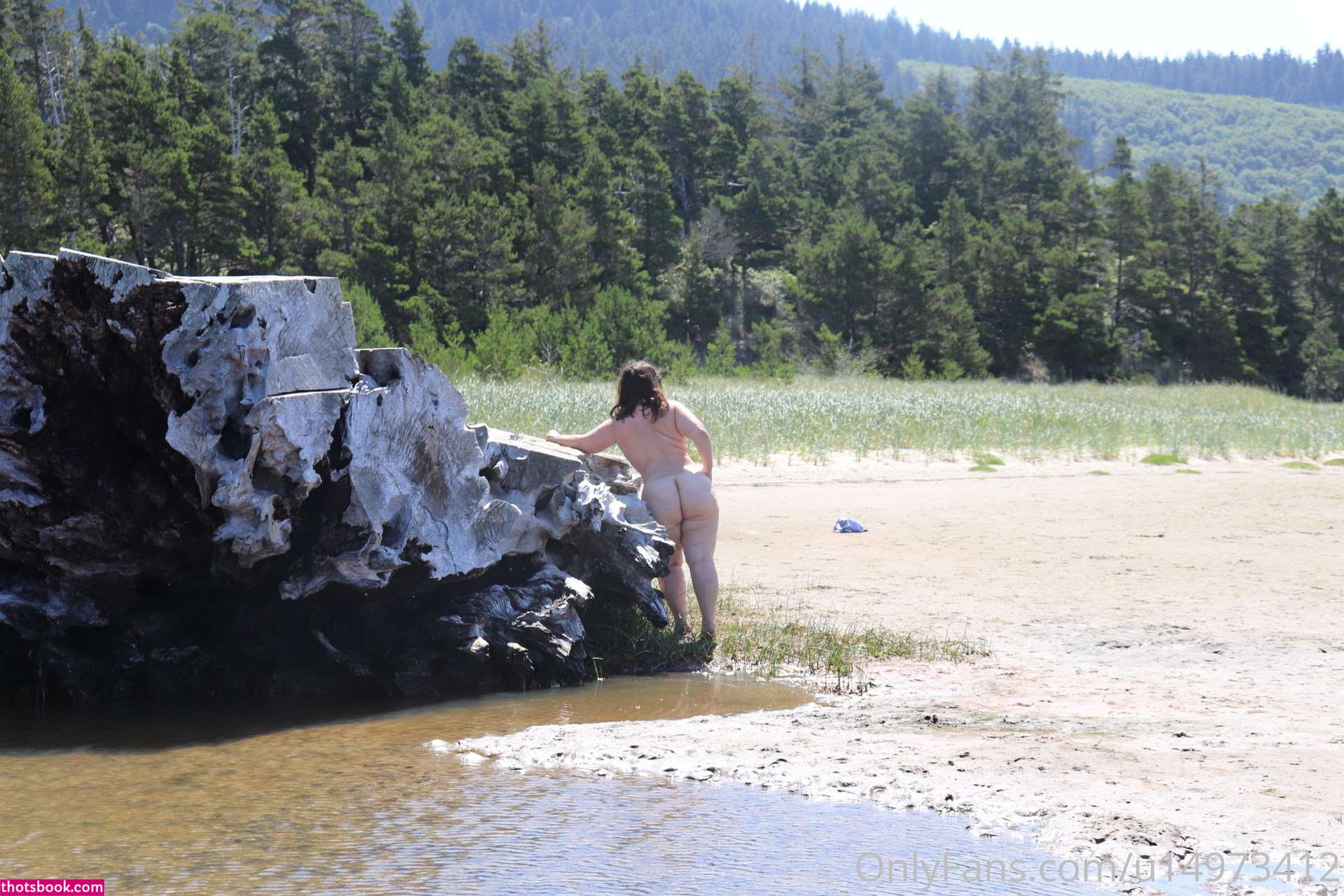 Ana Pessack  Thebumbumqueen OnlyFans Photos #3 279941