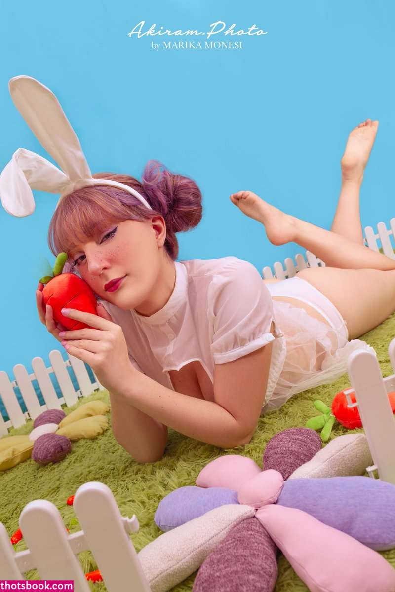 Elycoris Photos #2 280139