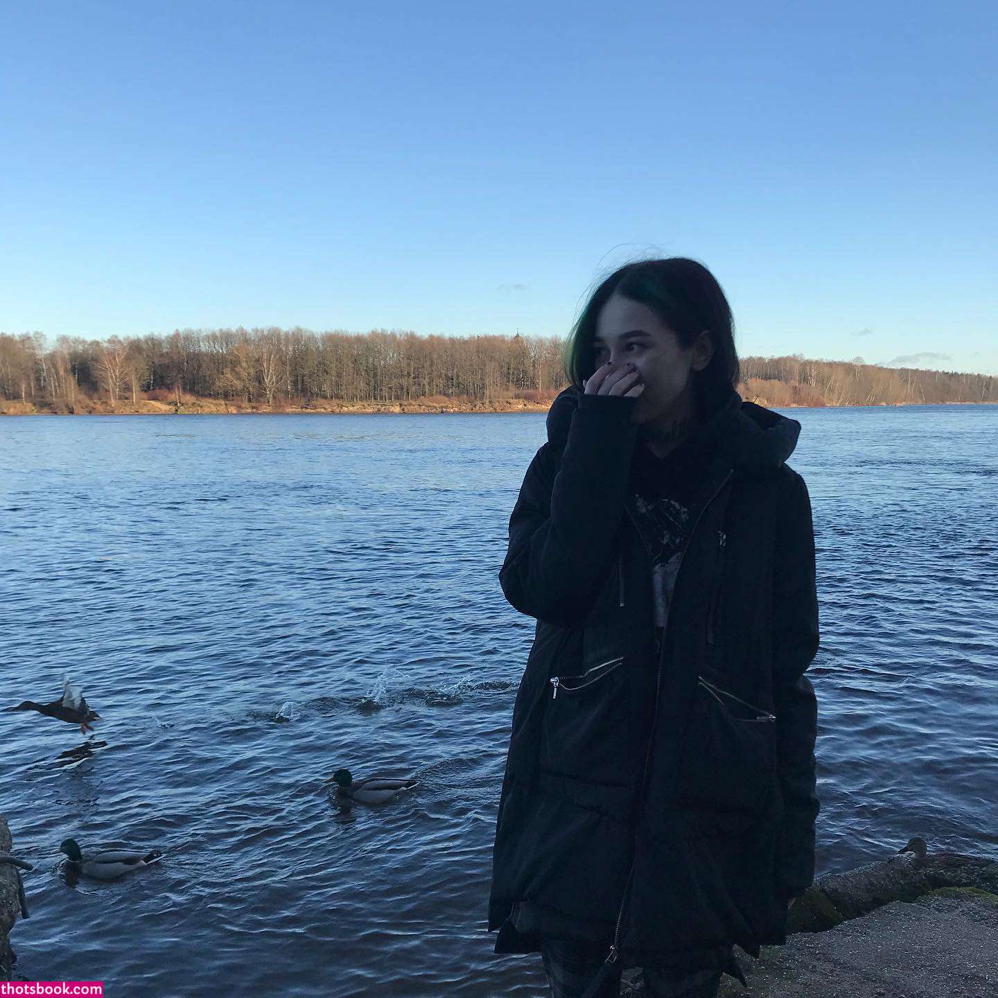 mmet Photos #2 280601