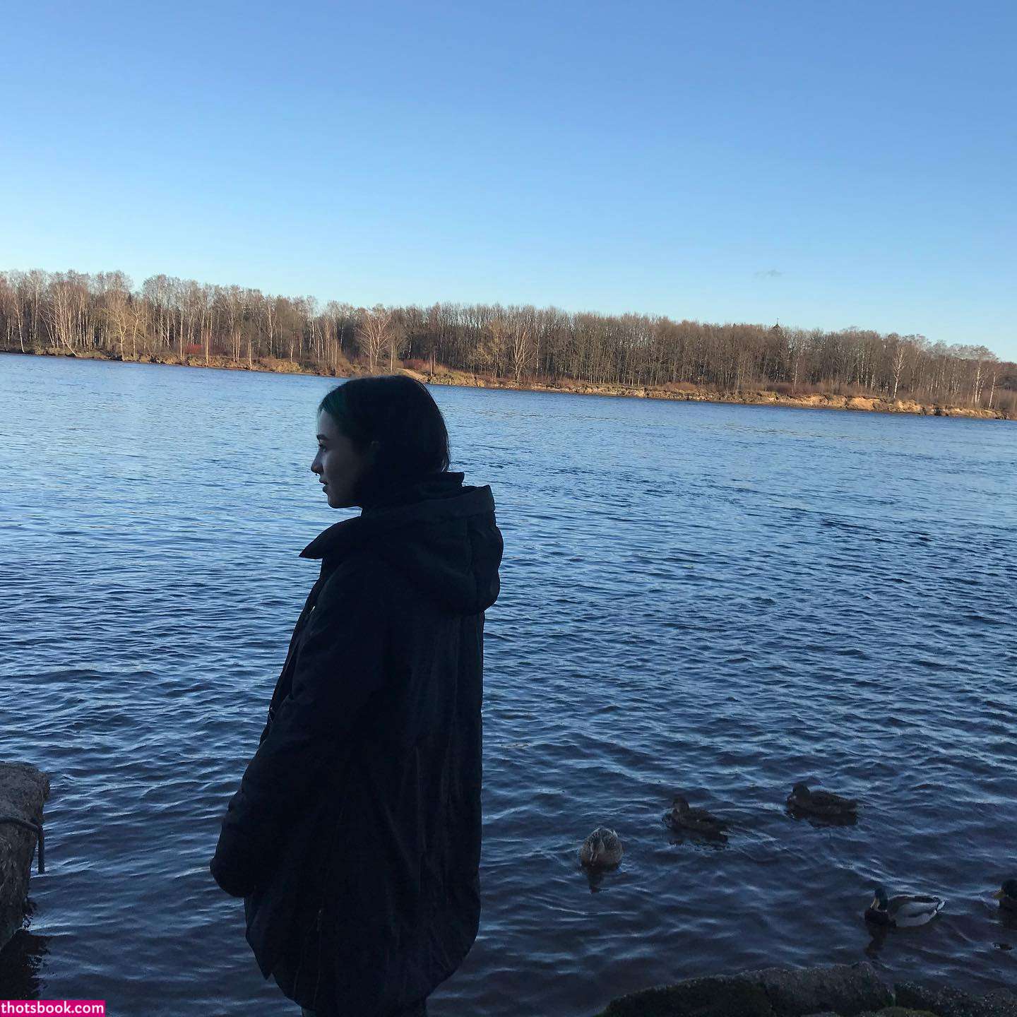 mmet Photos #2 280610