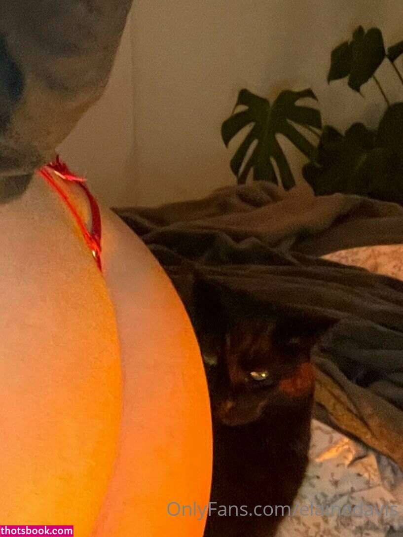 Elaine davis Nude OnlyFans Photos #1 316586