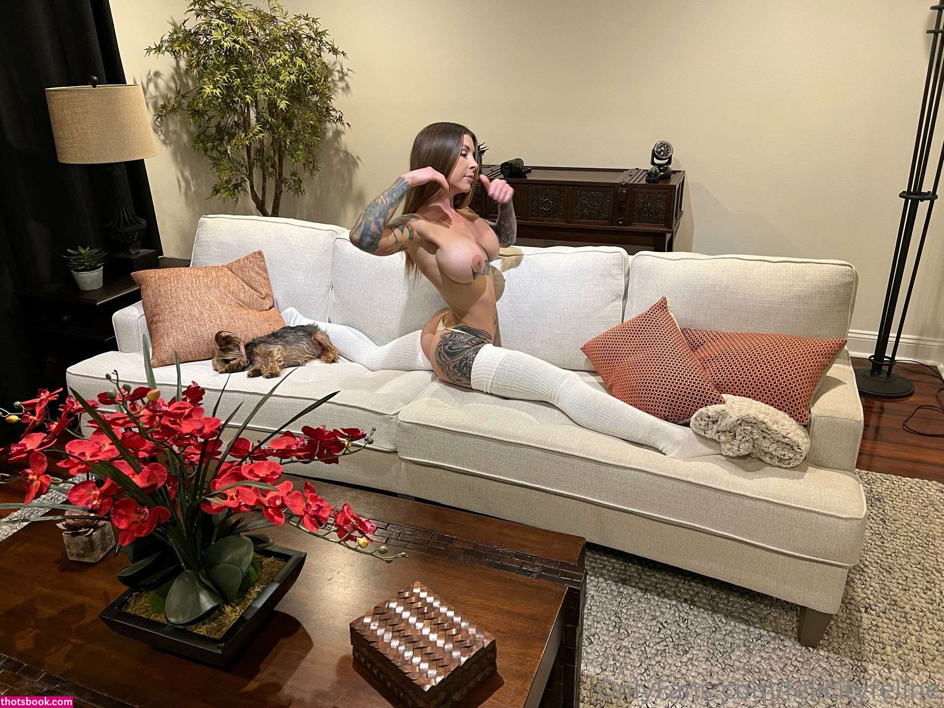 Felicity Feline Photos #12 272592