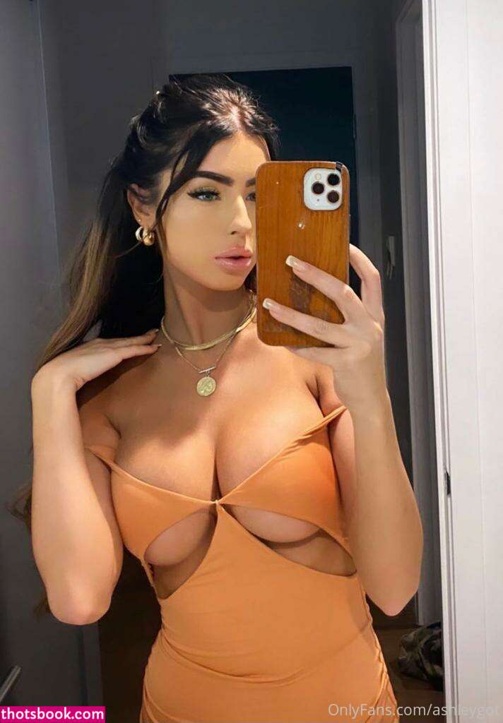 Ashleygot  Ashley Gottfredson  Ashnicole Nude OnlyFans Photos #4 326524