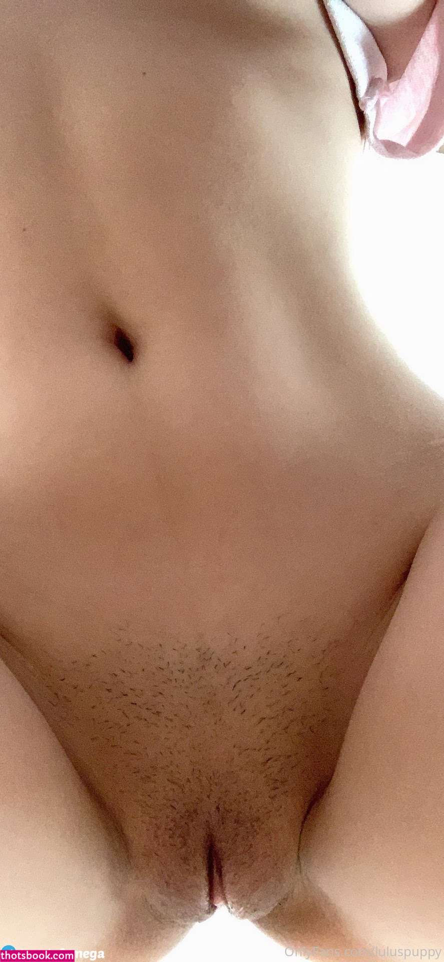 luluspuppy bunnyacademia Nude OnlyFans Photos #3 1048586