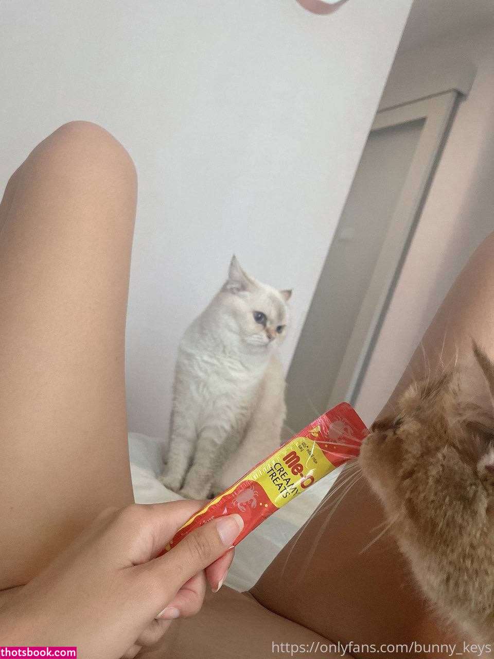 Bunny Keys Thai Playboy Model Nude OnlyFans Photos #12 1049398