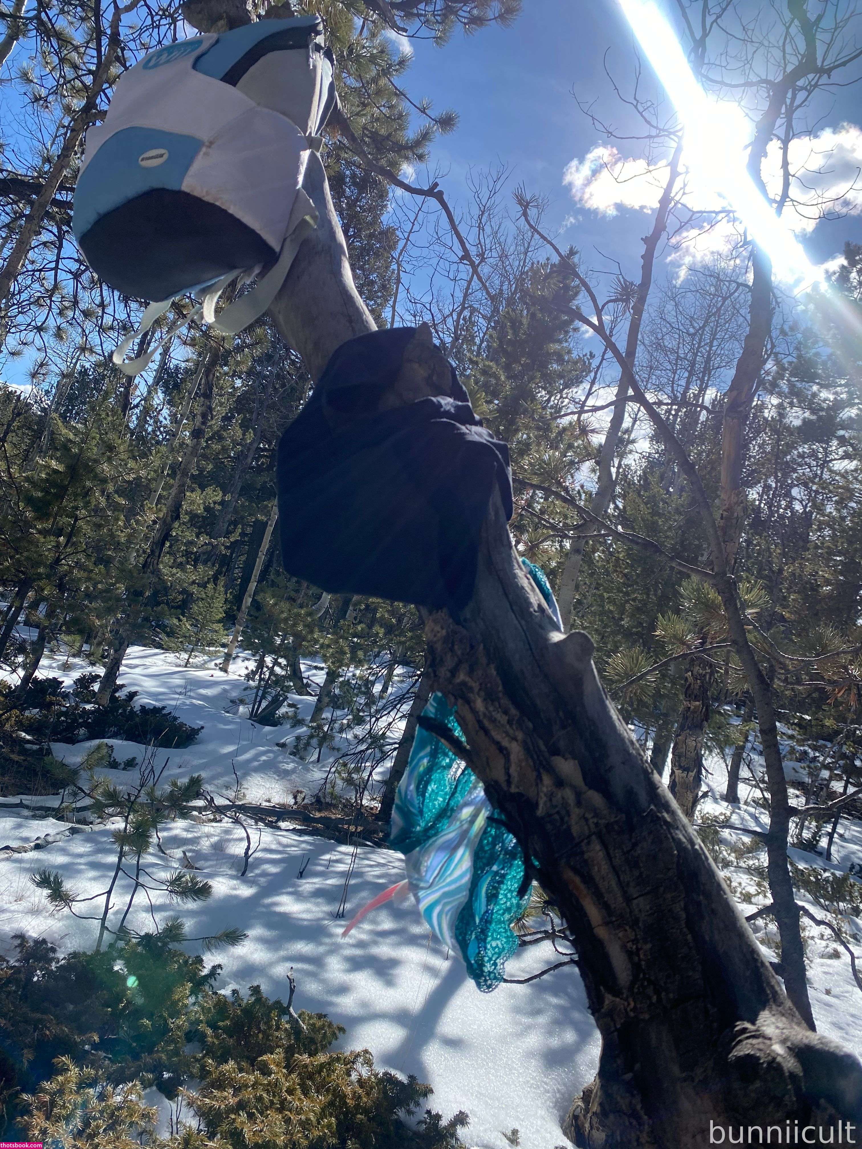 bunniicult Nude OnlyFans Photos #12 1067814