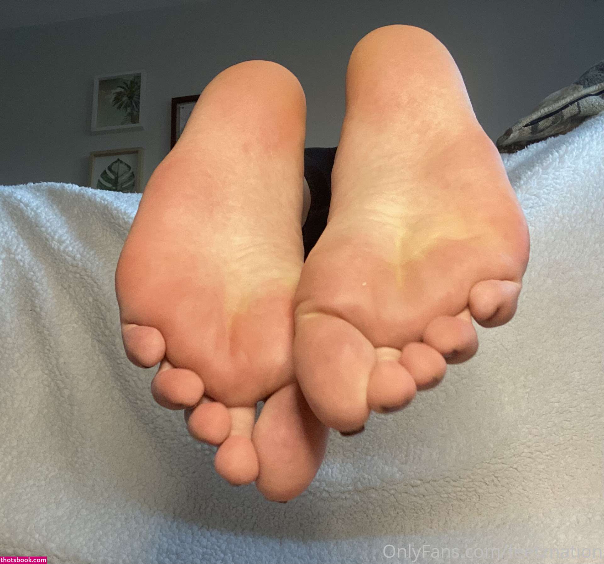 QueenZsFeet feetznation Nude OnlyFans Photos #13 1040365