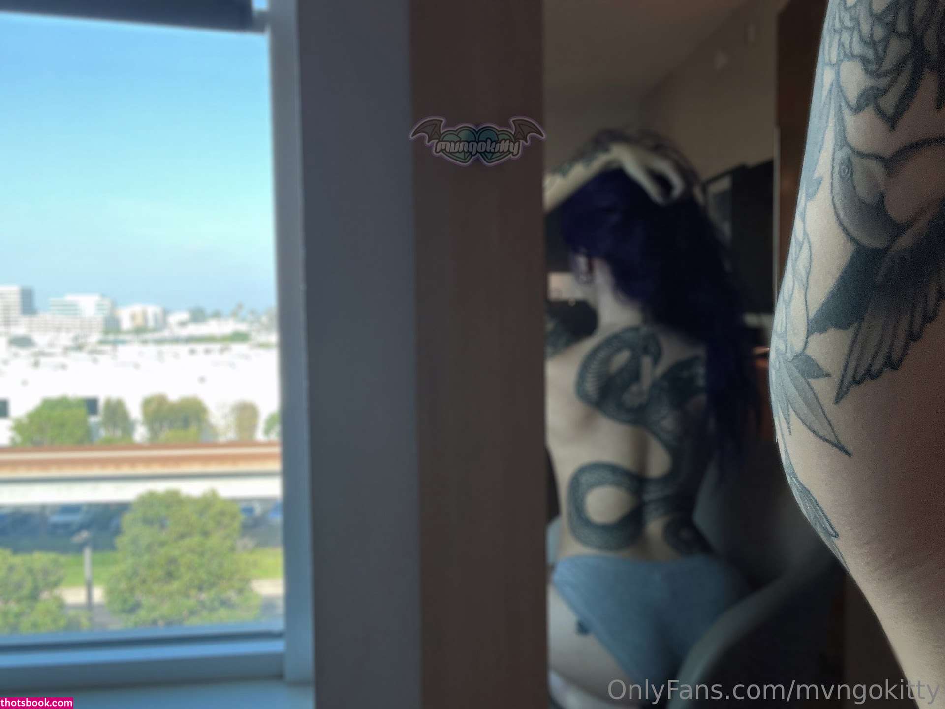 Mvngokitty Nude OnlyFans Photos #17 1084794